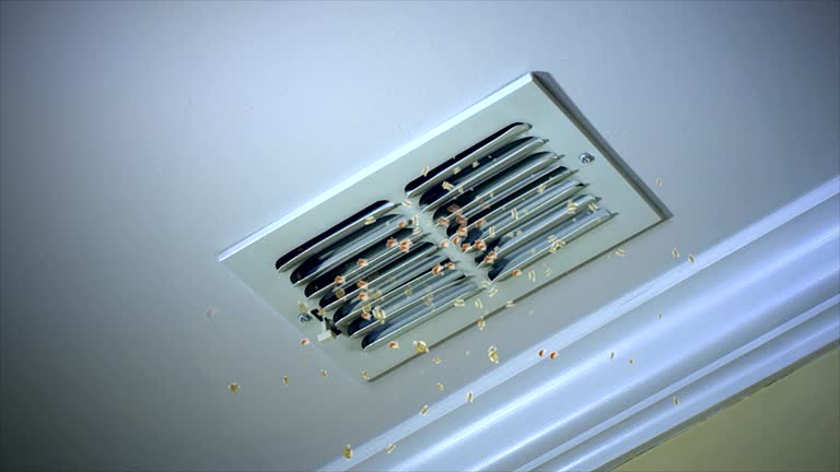 Best Best Air Duct Cleaning Company  in Crab Orchard, WV